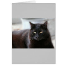 Schwarze Katze Grußkarte
