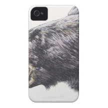 Schwarzer Bärn-Seiten-Porträt iPhone 4 Case-Mate Hüllen