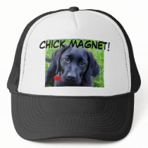 Schwarzer Labrador retriever-Hut