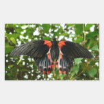 Schwarzer und roter Schmetterling Rechrteckaufkleber