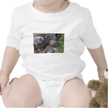 Schwarzschwanzige Klapperschlange Shirt
