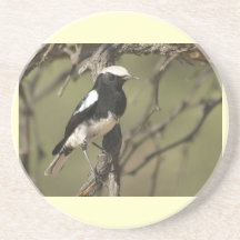 Schwarzweiss-Vogel Getränkeuntersetzer