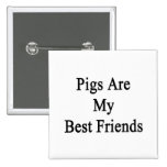 Schweine sind meine besten Freunde Buttons