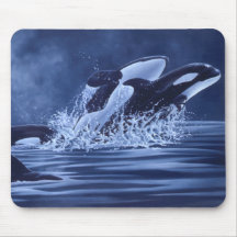 Schwertwale Mousepad