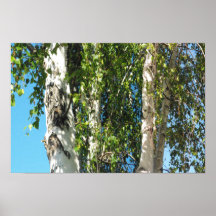 Schwestern Plakatdrucke