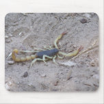 Scorpion Tapis De Souris