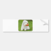 Sealyham Terrier Autocollant Pour Voiture