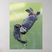 Seeotter-Druck Plakatdrucke