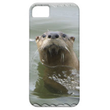 Seeotter-süßes Tier iPhone Fall iPhone 5 Hüllen