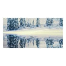 Seeufer-Schnee-Baum-Reflexionen Bild Karte