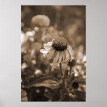 Sepia-Kegel-Blume Plakat