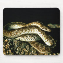 Serpent brillant tapis de souris
