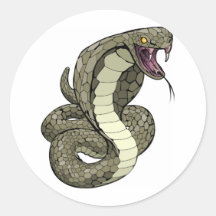 Serpent de cobra environ à frapper autocollants