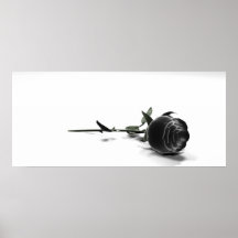 s'est levé posters