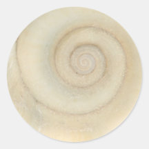 Shell - conchyliologie - spirale blanche autocollant rond