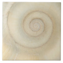 Shell - conchyliologie - spirale blanche carreaux en céramique