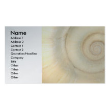 Shell - conchyliologie - spirale blanche cartes de visite professionnelles