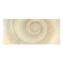Shell - conchyliologie - spirale blanche motif pour double carte