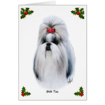 Shih Tzu 9Y347D-231 Karte