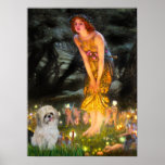 Shih Tzu (P) - mittleres Eve Plakate