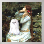 Shih Tzu (weiß) - Ophelia gesetzt Poster
