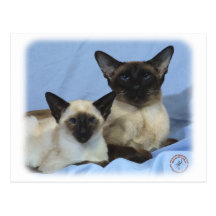 Siamesische Katze 9W055D-035 Postkarten