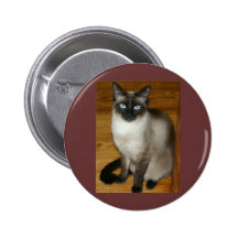 Siamesische Katze Anstecknadelbutton