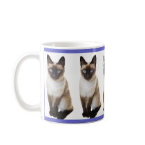 Siamesische Katze