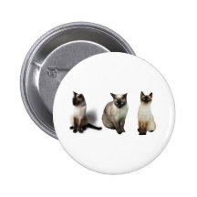 Siamesische Katzen Button