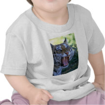 Sibirischer brüllender Tiger Shirts
