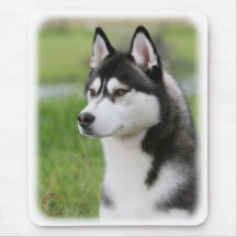 Sibirischer Husky 9Y570D-006 Mauspad