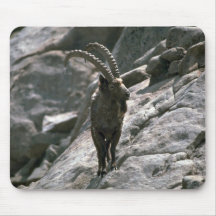 Sibirischer Steinbock Mauspad