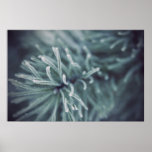 Sibirischer Winter 3 Plakate