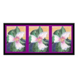 Signet peint de Trillium Carte Double En Couleur