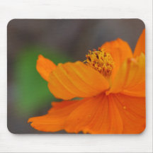 Simply Orange Mousepad