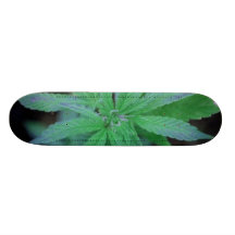 Skate-O-Rama Skateboard Deck