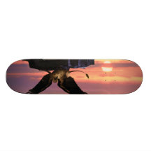 Skateboard des Greif-01 Individuelles Skateboard
