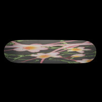 Skateboard Zhaos Hua Hua skateboards