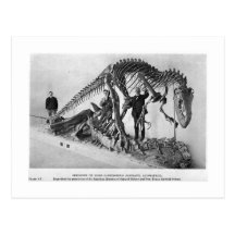 Skeleton Kunstpostkarte des Allosaurus