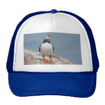 Skomer Insel-Papageientaucher Kult Mützen