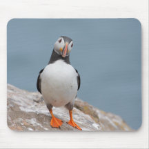 Skomer Insel-Papageientaucher Mousepads
