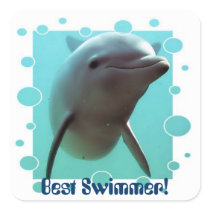 Smiley der Delphin!