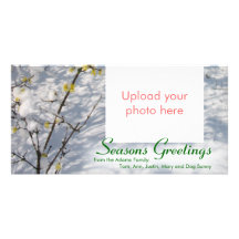 Snow Seasons Greetings Bilderkarten