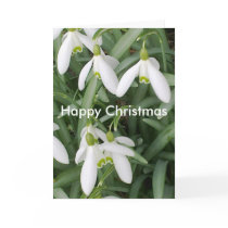 Snowdrops Weihnachtskarte