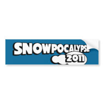 snowpocalypse 2011