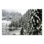 Snowy-Kiefern entlang See zweiundzwanzig Foto