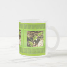 Solomons Siegel, mattierter Becher Kaffee Tassen