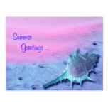Sommer-Muschel-Postkarte