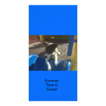 Sommerzeit ist groß! photokarten