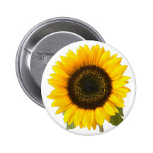 Sonnenblume Buttons